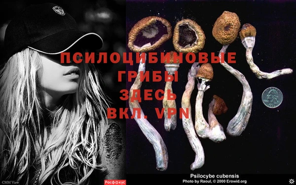 марки nbome Баксан
