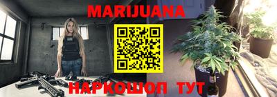 apvp Можга