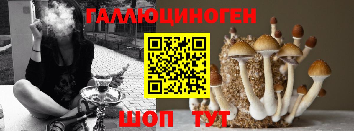 Галлюциногенные грибы мухоморы  Вход с VPN  дарнет шоп  Городец 
